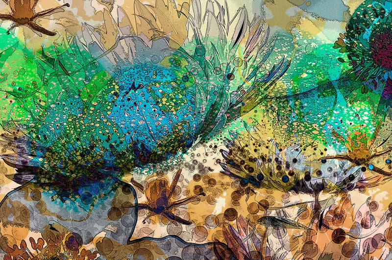 Highly Commended: "Bokeh Summer Flowers" by Ian Gilmour - Garden Photographer of the Year Abstract Views Winners