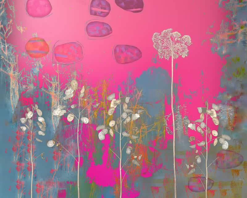 Highly Commended: "Throw A Pebble" by Honey J Walker - Garden Photographer of the Year Abstract Views Winners