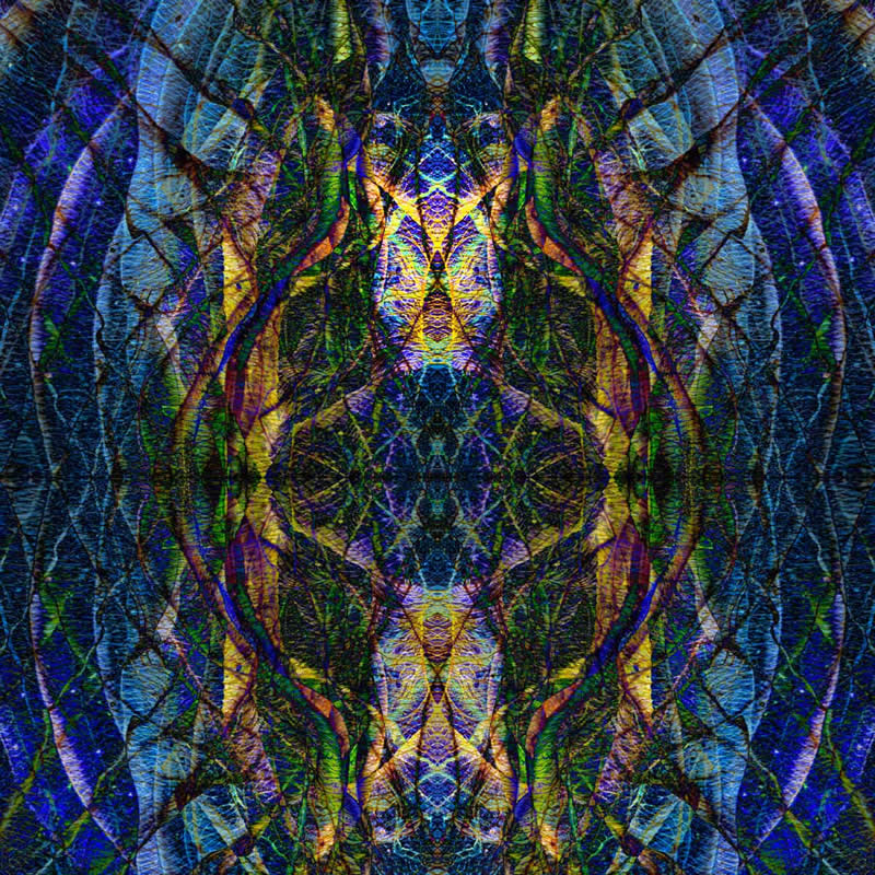 Commended: "The Leaf Behind The Curtain" by Claire Carter - Garden Photographer of the Year Abstract Views Winners