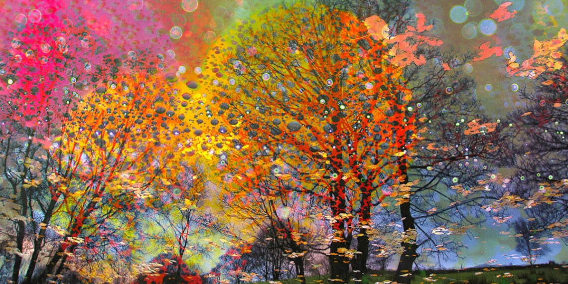 Garden Photographer of the Year Abstract Views Winners