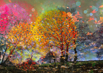 Garden Photographer of the Year Abstract Views Winners