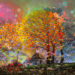 Garden Photographer of the Year Abstract Views Winners
