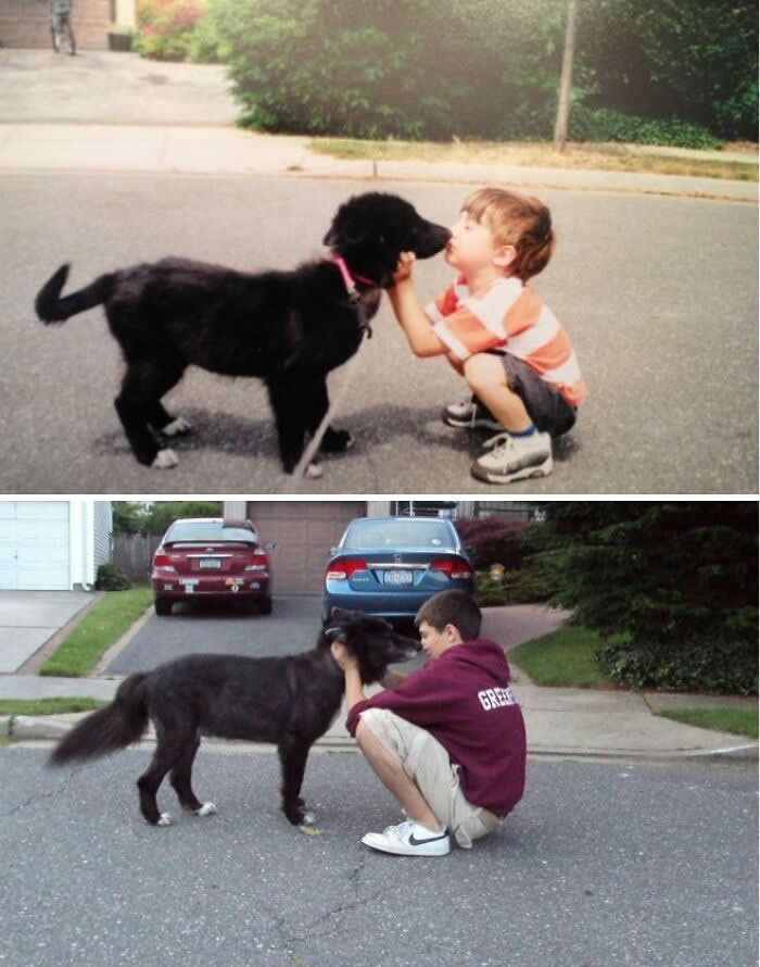 Dog And Little Brother 13 Years Then And Now - Adorable Photos of Pets with Humans