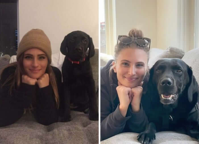 Me And My Best Friend&rsquo;s Dog, Rooney - 2018 VS 2021 - Adorable Photos of Pets with Humans
