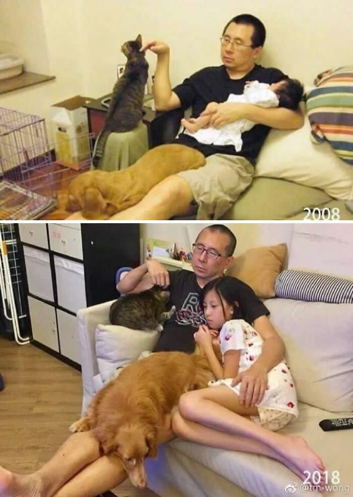 10 Years Ago And Now - Adorable Photos of Pets with Humans