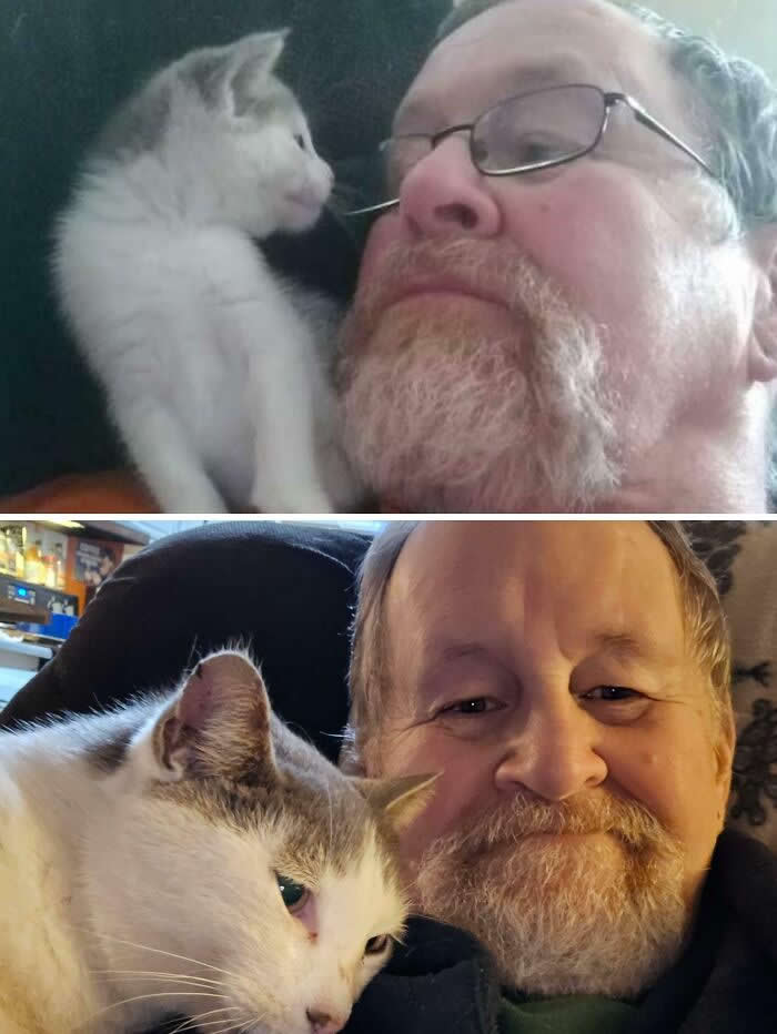 8 Years Ago, I Got My Very First Kitty And This Is Update Time - Adorable Photos of Pets with Humans