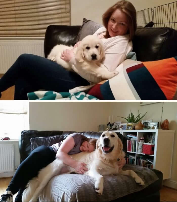 Then Vs Now - Adorable Photos of Pets with Humans