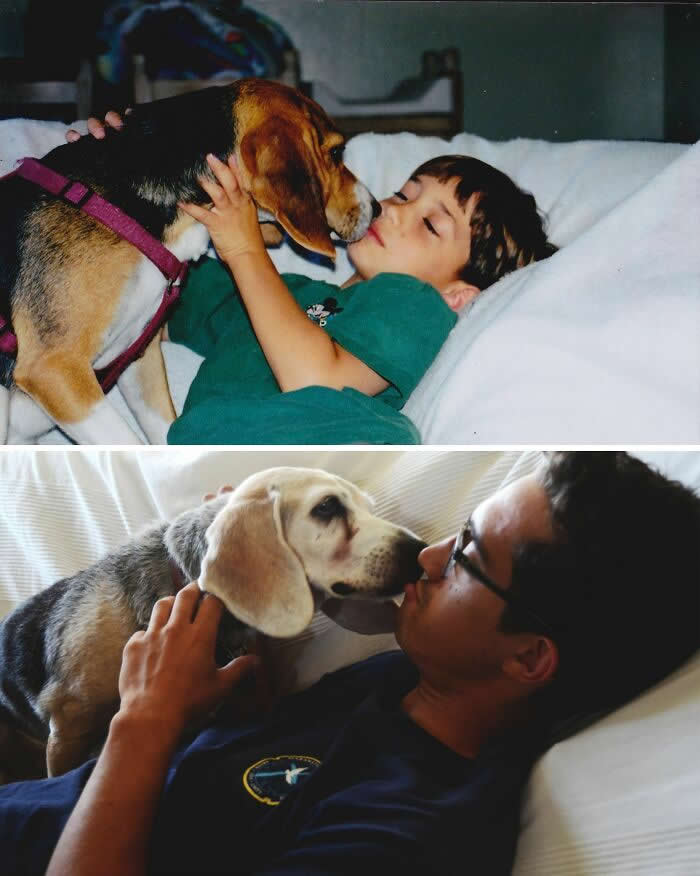 My Beagle Turned 16 Today. Had Her Since She Was Born - Adorable Photos of Pets with Humans