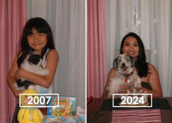 Adorable Photos of Pets with Humans