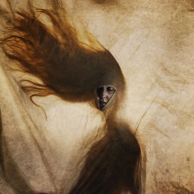  - Winners of All About Photo Awards 2026