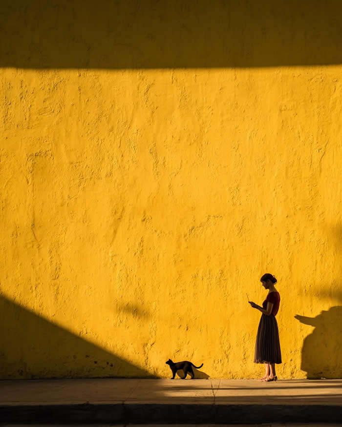 A minimalist scene of a woman standing against a textured yellow wall, looking at her phone, while a cat walks nearby, with strong shadows creating bold geometric shapes and contrast.
