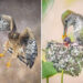 Mesmerizing Bird Photography by Matt Huras