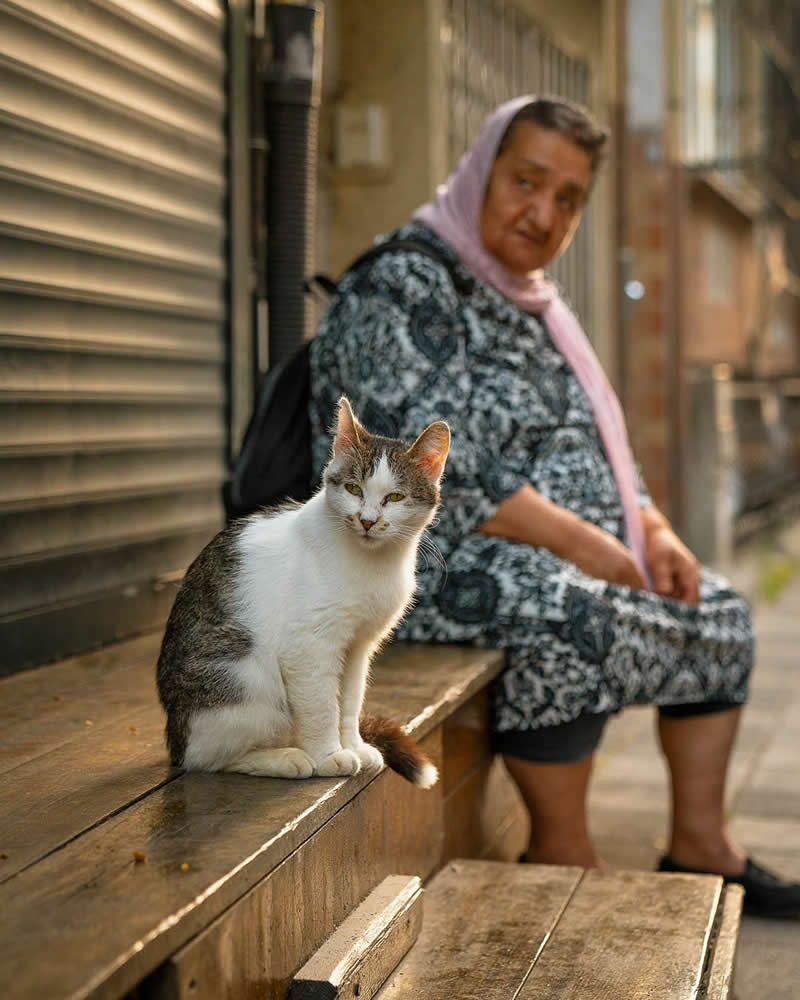 A white and gray street cat sits on a wooden bench in the foreground while an elderly woman wearing a headscarf rests behind it on the same bench in a narrow urban alley, creating a calm and intimate street scene.