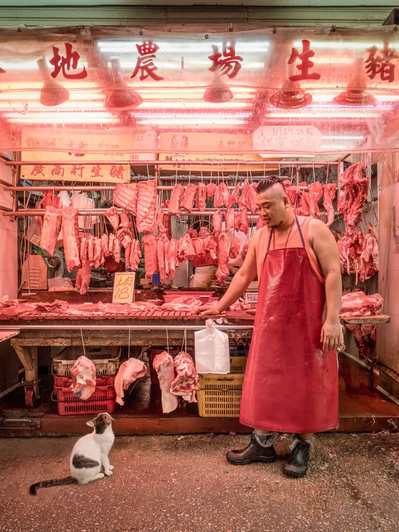 A small black and white street cat sits on the ground looking up at a butcher in a red apron standing in front of a brightly lit meat stall filled with hanging cuts, capturing a vivid urban market moment.