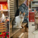 From Hong Kong to Istanbul: 32 Street Cat Photos by Marcel Heijnen That Define Urban Soul