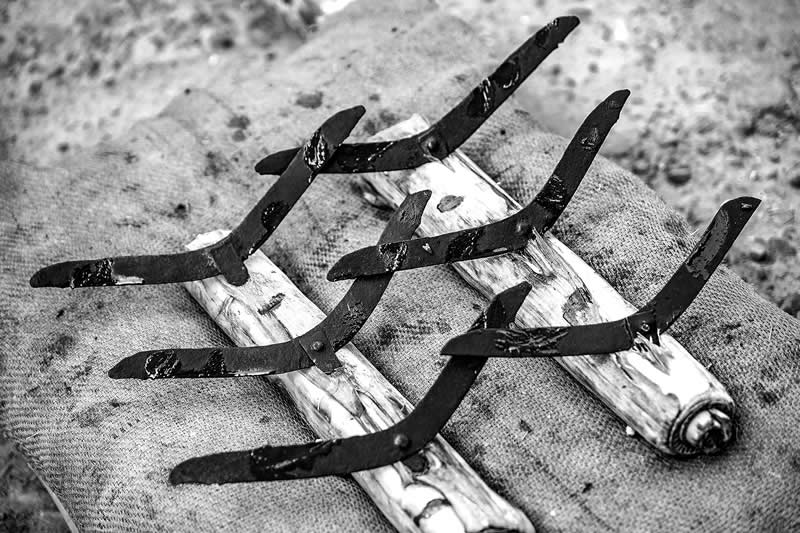 Charak Puja in Bengal by Prithwiraj Pal