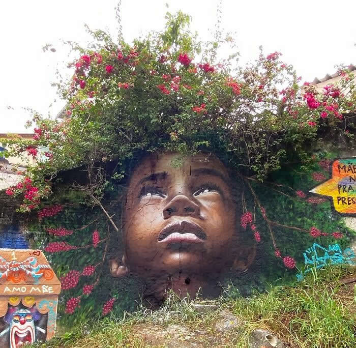 Crowned by Nature &ndash; Sao Paulo, Brazil - Clever Street Art Photos