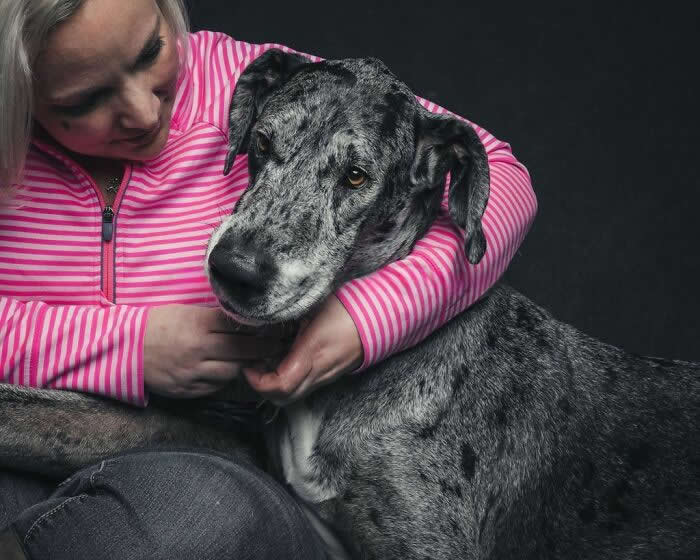 A large gray Great Dane with a speckled coat rests calmly as a person in a pink striped top gently embraces and holds its neck, showing a tender and trusting bond.