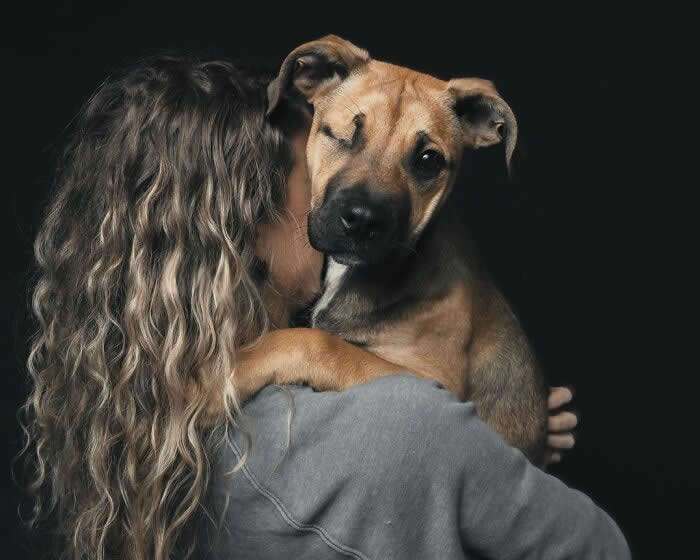 A brown puppy rests in a person&rsquo;s arms, looking directly at the camera with a gentle expression while being held close against a dark background.