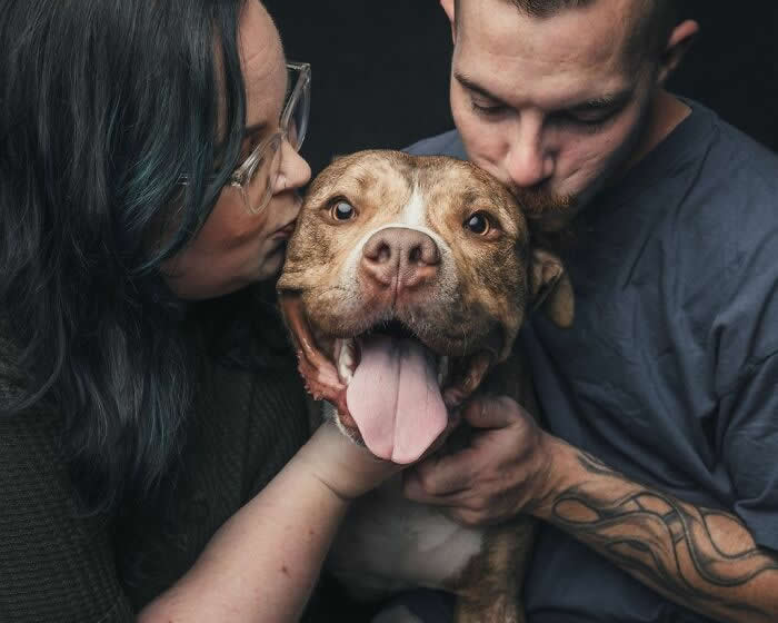 A happy brown dog with its tongue out is gently held while two people on either side kiss its head, capturing a moment of affection and shared love against a dark background.