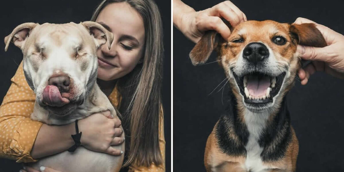 Emotional Dog Photos by Greg Murray