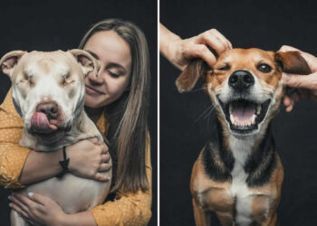 Emotional Dog Photos by Greg Murray