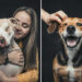 Emotional Dog Photos by Greg Murray