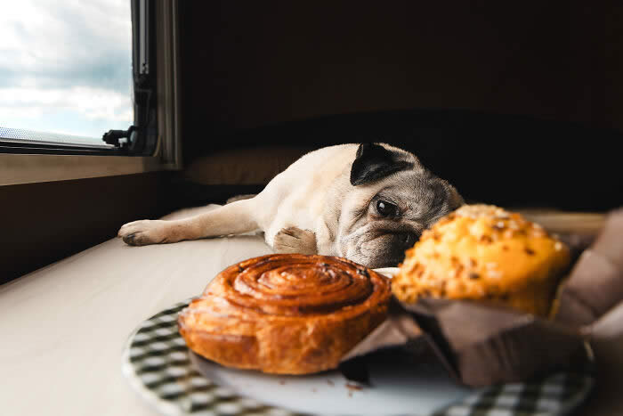 Food Influencer: Paws And Pastries By Sylvie Pabion Mart&iacute;n - 2026 Food Photography Awards