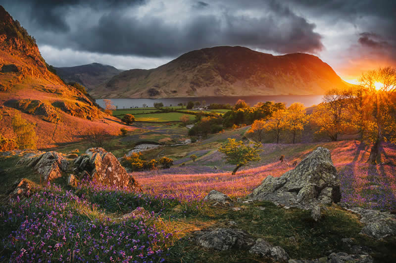 2nd Place: "Mellbreak from Rannerdale" by Matthew Turner - Garden Photographer of the Year Wildflower Landscapes Winners