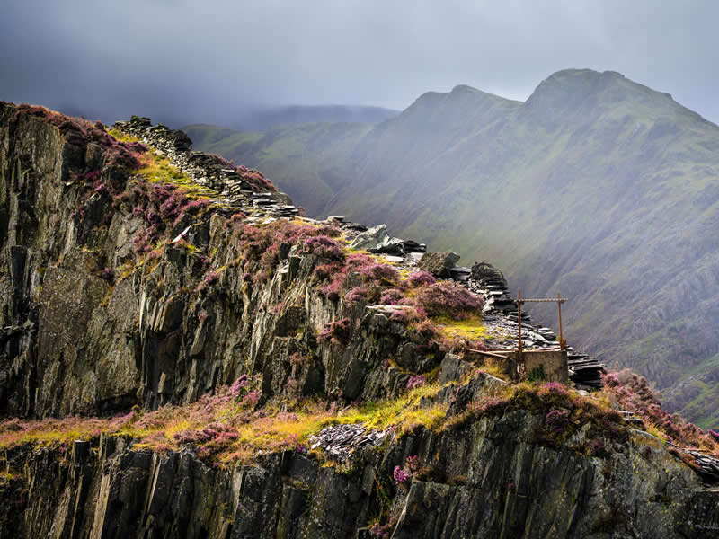 Finalist: "Mining Track" by Will Barron - Garden Photographer of the Year Wildflower Landscapes Winners