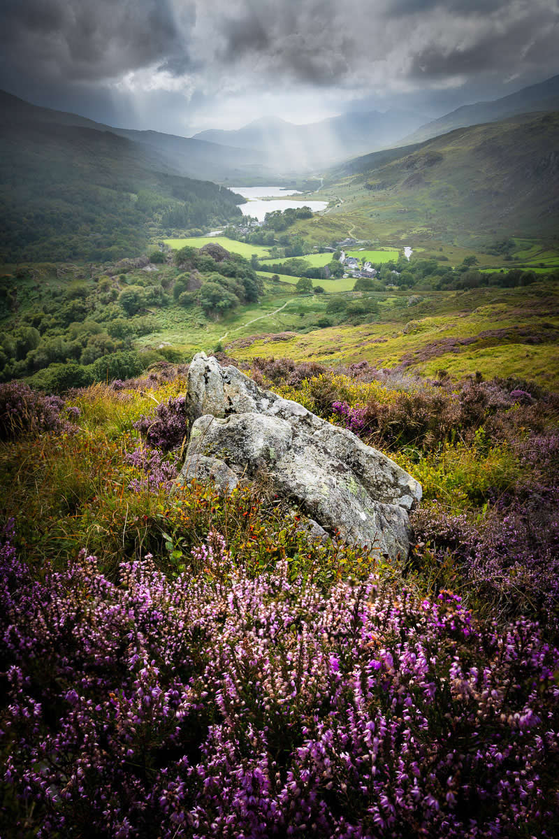 Highly Commended: "The Rock" by Will Barron - Garden Photographer of the Year Wildflower Landscapes Winners