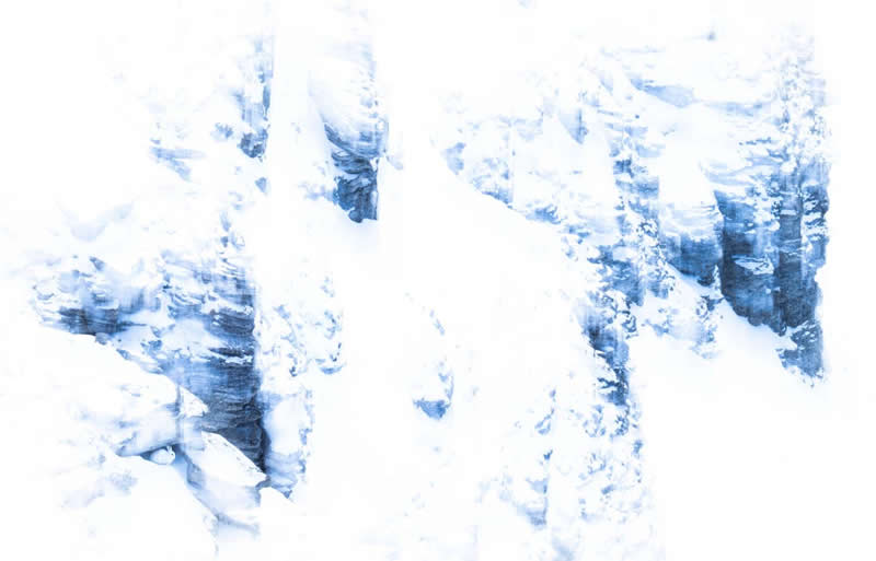 Overall & Mammals Winner: "White on white" by Luca Lorenz - GDT Nature Photographer of the Year 2026 Winners