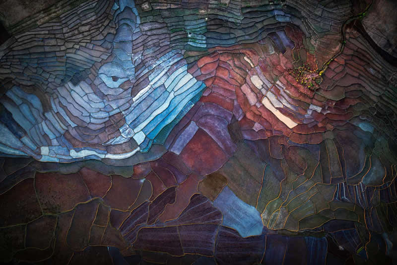 Landscapes - Winner: "Frozen forest" by Eike Christian Wolff - GDT Nature Photographer of the Year 2026 Winners