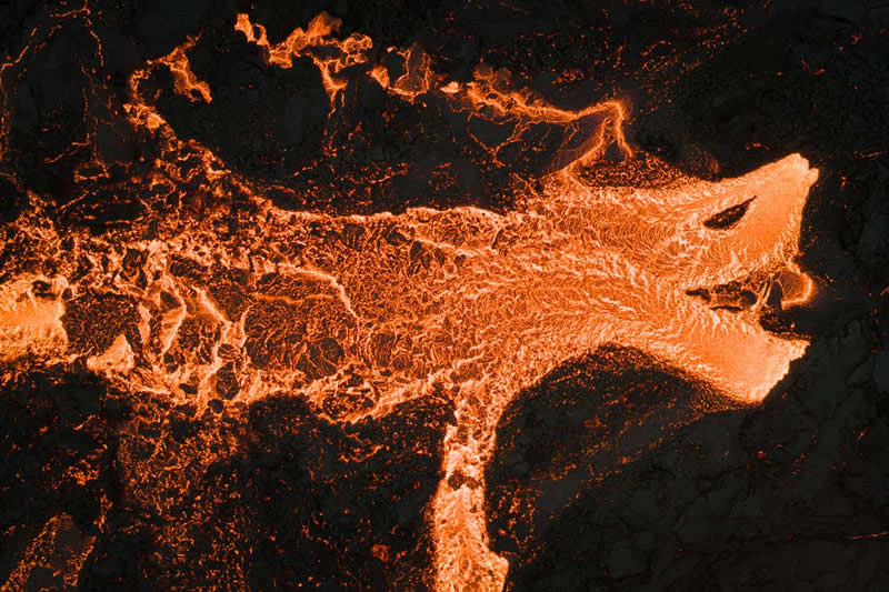 Nature's Studio - Runner-up: "Lava dragon" by Jeroen Van Nieuwenhove - GDT Nature Photographer of the Year 2026 Winners