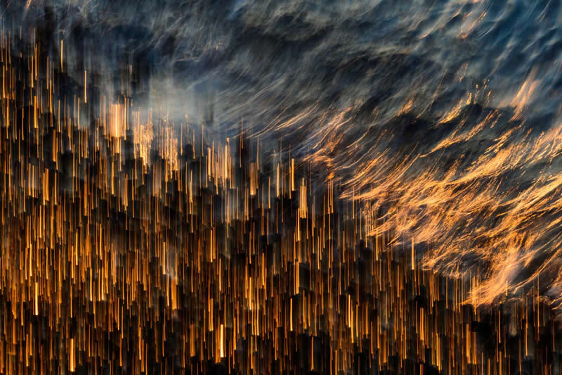 Nature's Studio - Runner-up: "With the waves" by Sandra Westermann - GDT Nature Photographer of the Year 2026 Winners