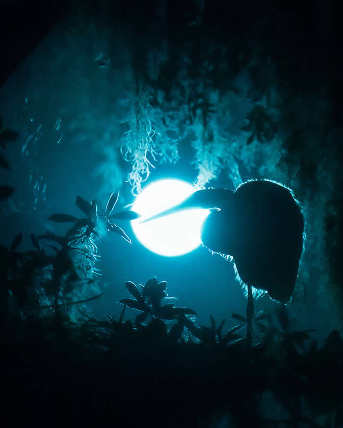 Wings of Elegance: 30 Great Egret Photos by American Photographer Fenqiang Liu 54 A silhouetted Great Egret standing among foliage at night, backlit by a glowing full moon, with soft blue tones and hanging moss creating a mysterious, dreamlike atmosphere.