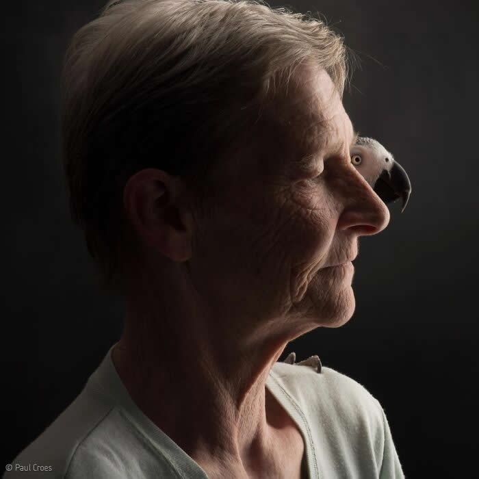 A side-profile portrait of an elderly woman softly lit against a dark background, with a small parrot perched near her shoulder, both facing the same direction, conveying calm, companionship, and quiet harmony.