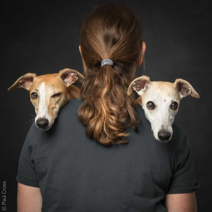 A studio portrait of a person seen from behind with two slender dogs resting their heads on each shoulder, both looking toward the camera, symbolizing companionship and balanced connection.