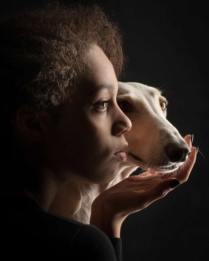 A softly lit side-profile portrait of a woman and a white dog, both looking in the same direction, with the woman&rsquo;s hand gently supporting the dog&rsquo;s chin, expressing unity, trust, and shared focus.