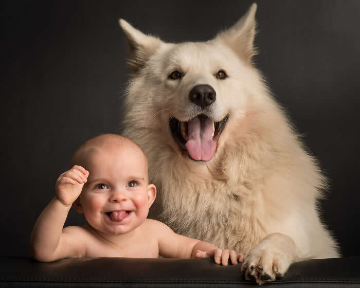 A joyful baby and a large fluffy white dog sit side by side, both with playful expressions, captured in soft studio lighting against a dark background, highlighting innocence, companionship, and a heartwarming human&ndash;animal bond.