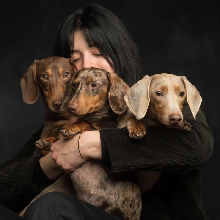A woman gently embraces three dachshunds close to her chest, eyes closed in a tender moment, captured in soft studio lighting against a dark background, expressing warmth, affection, and a deep human&ndash;animal bond.