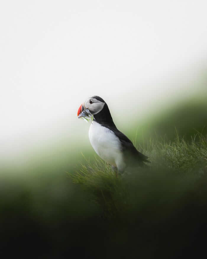 Iceland Landscapes by Gunnar Freyr Gunnarsson