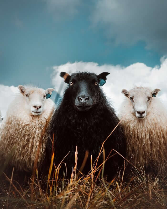 Iceland Landscapes by Gunnar Freyr Gunnarsson