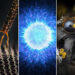 Award-Winning Microscope Photos of 2026