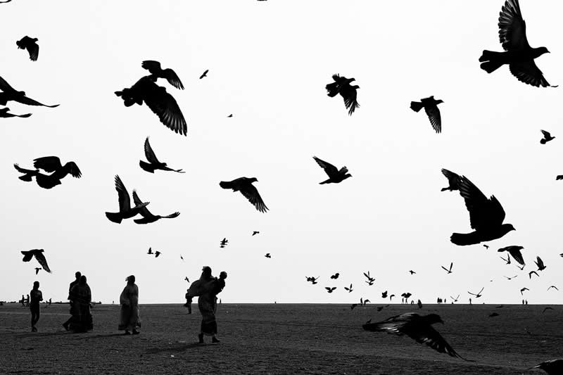 Finalist: "Flight and Horizon" by Mahesh Balasubramanian - Life Frame Black and White Photo Contest Winners