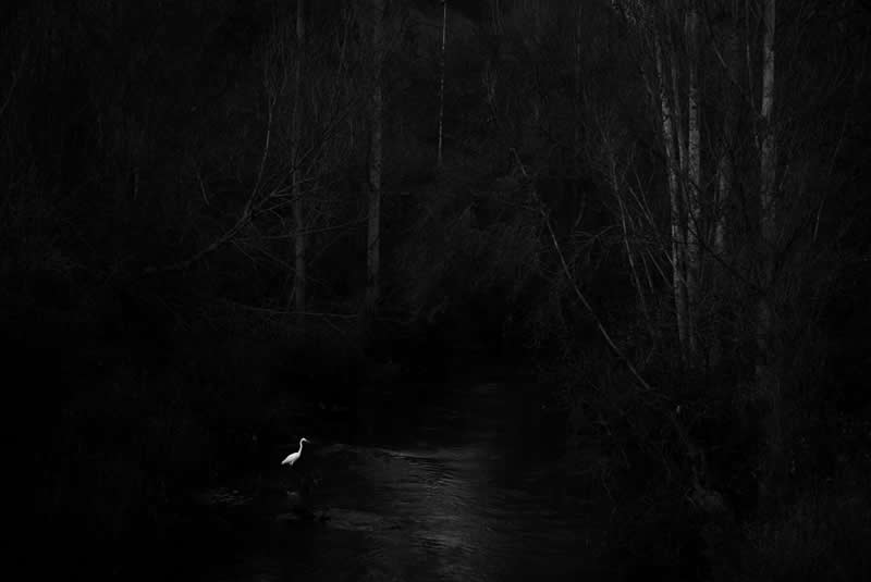 Finalist: "Silent" by Berta Viteri Rairez - Life Frame Black and White Photo Contest Winners