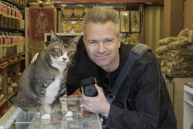 Street Cat Photography by Marcel Heijnen