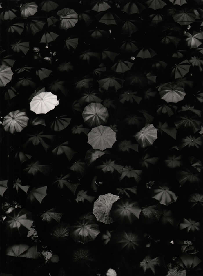 Italian Master Photographer Nino Migliori