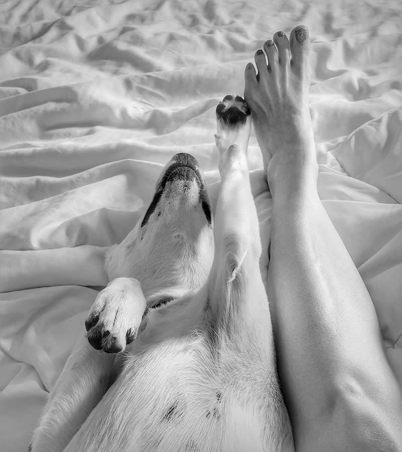 Pawsitive Vibes by Cerrina Smith - Mobile Photography Awards Black and White Winners