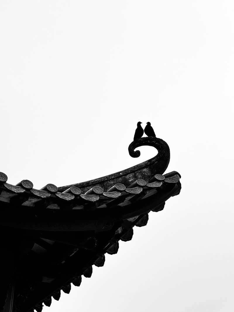 The Moment of Two by Ho Yin Lui - Mobile Photography Awards Black and White Winners